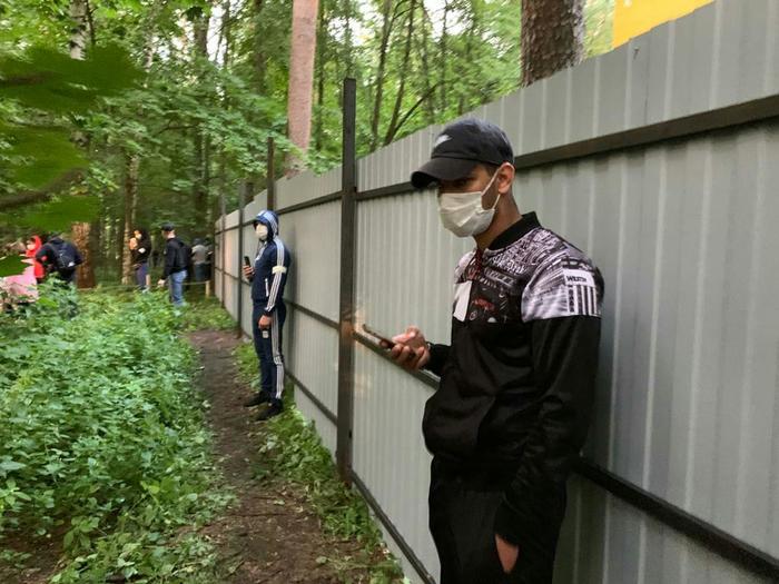 Жители Барвихи вышли защищать лес от незаконной вырубки. Бандиты выста