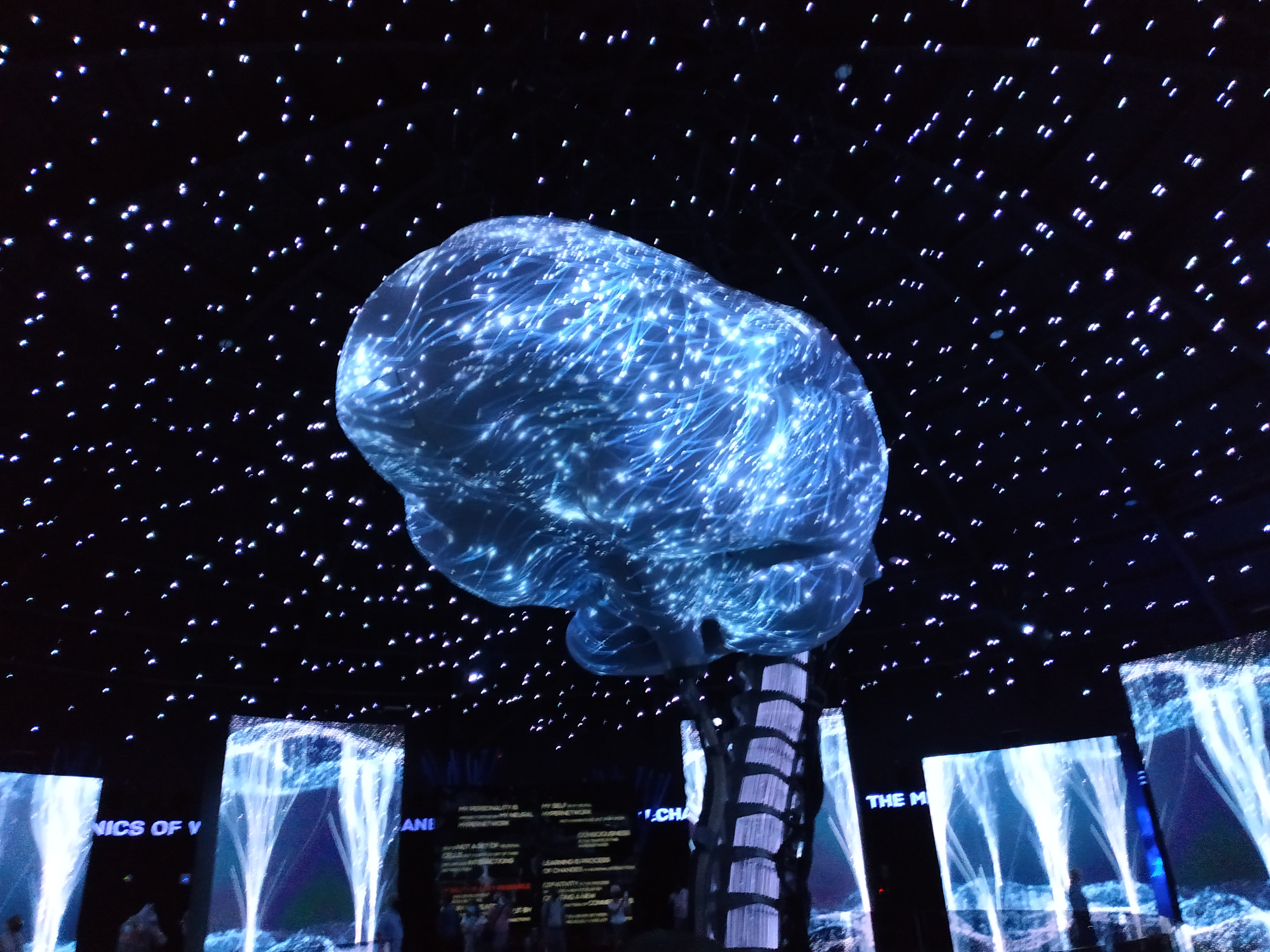 Русский павильон музея мозга на выставке в ОАЭ