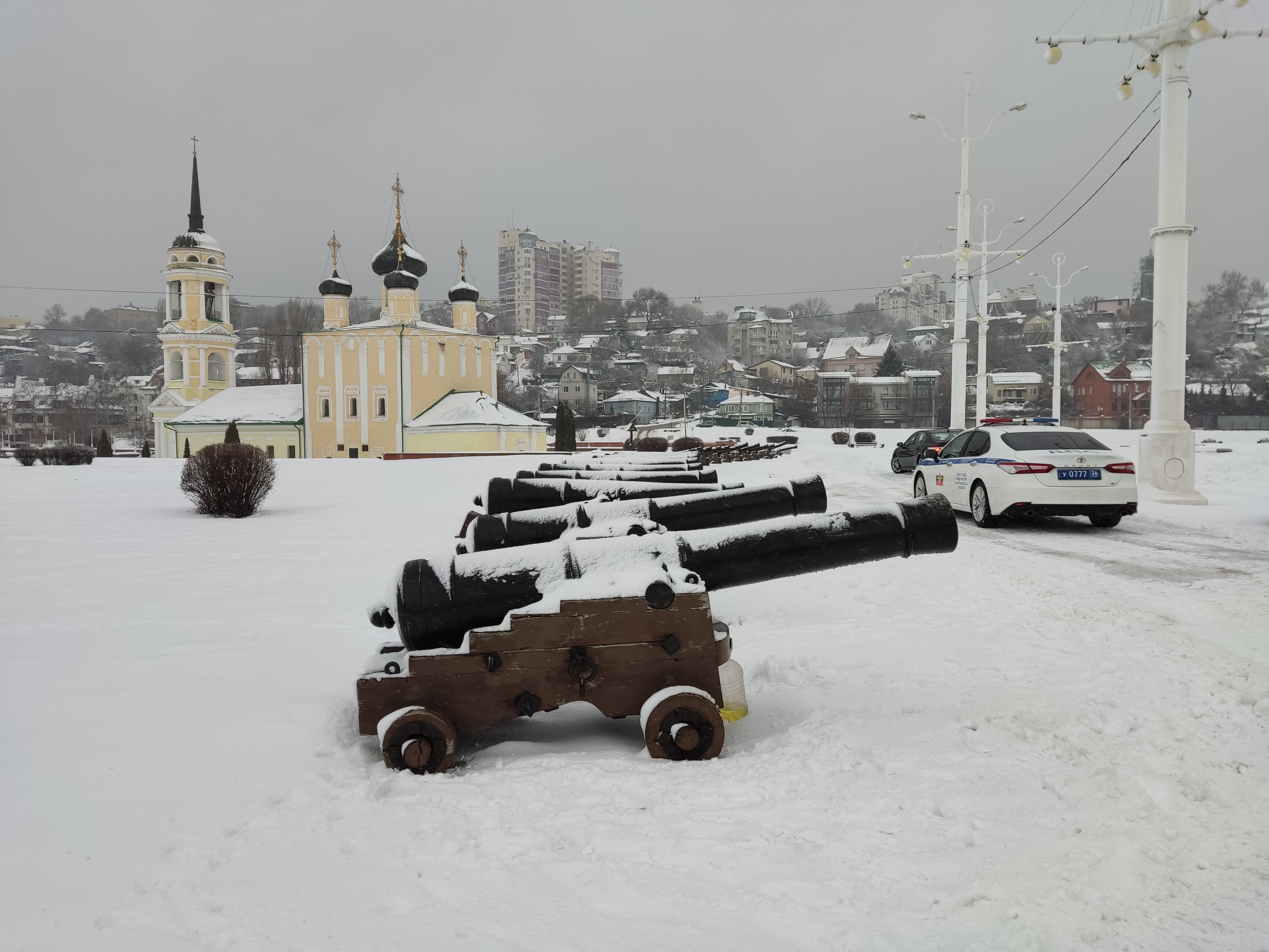 Пушки Петра Первого в Воронеже