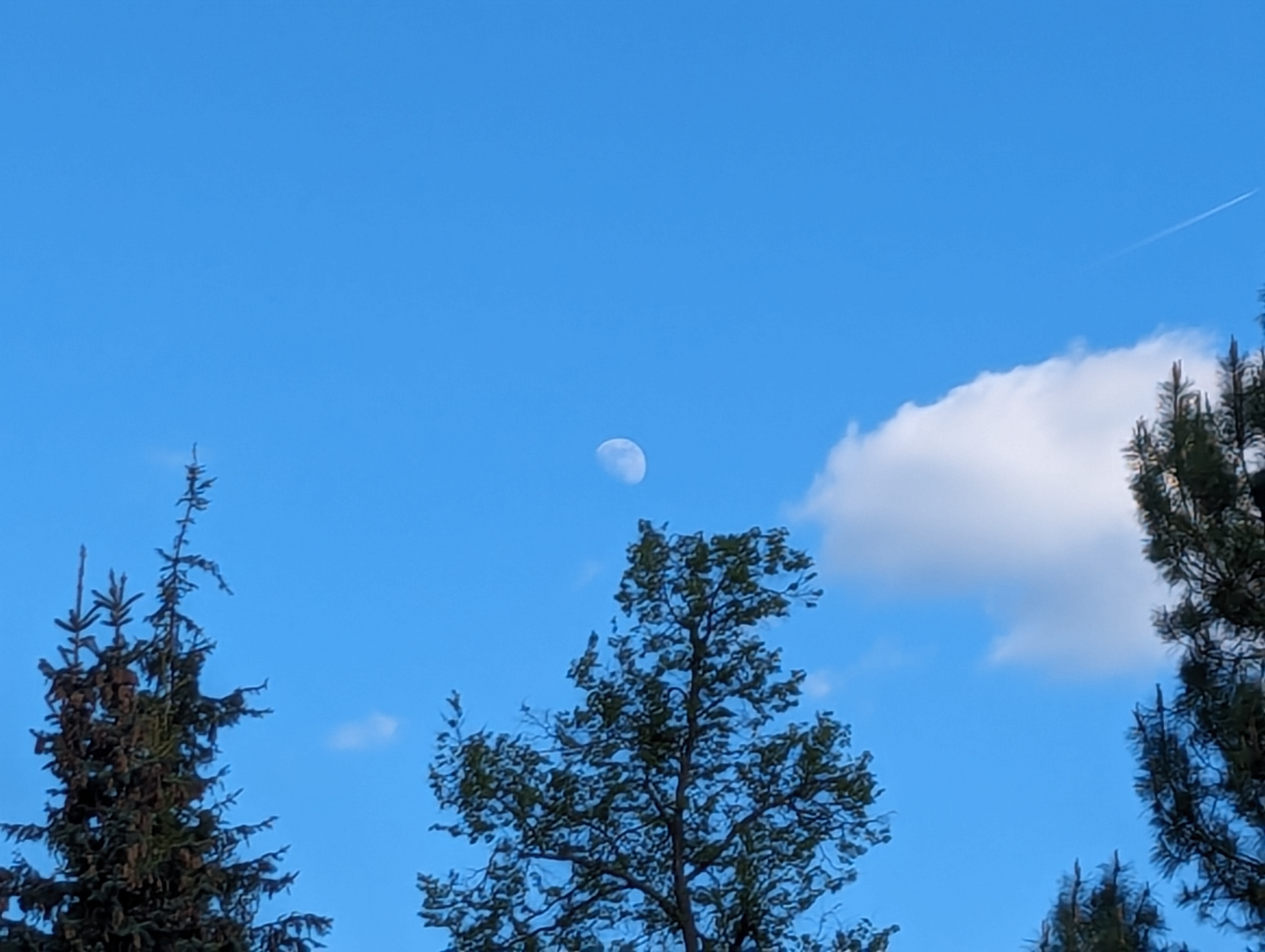 Днем Луна видна