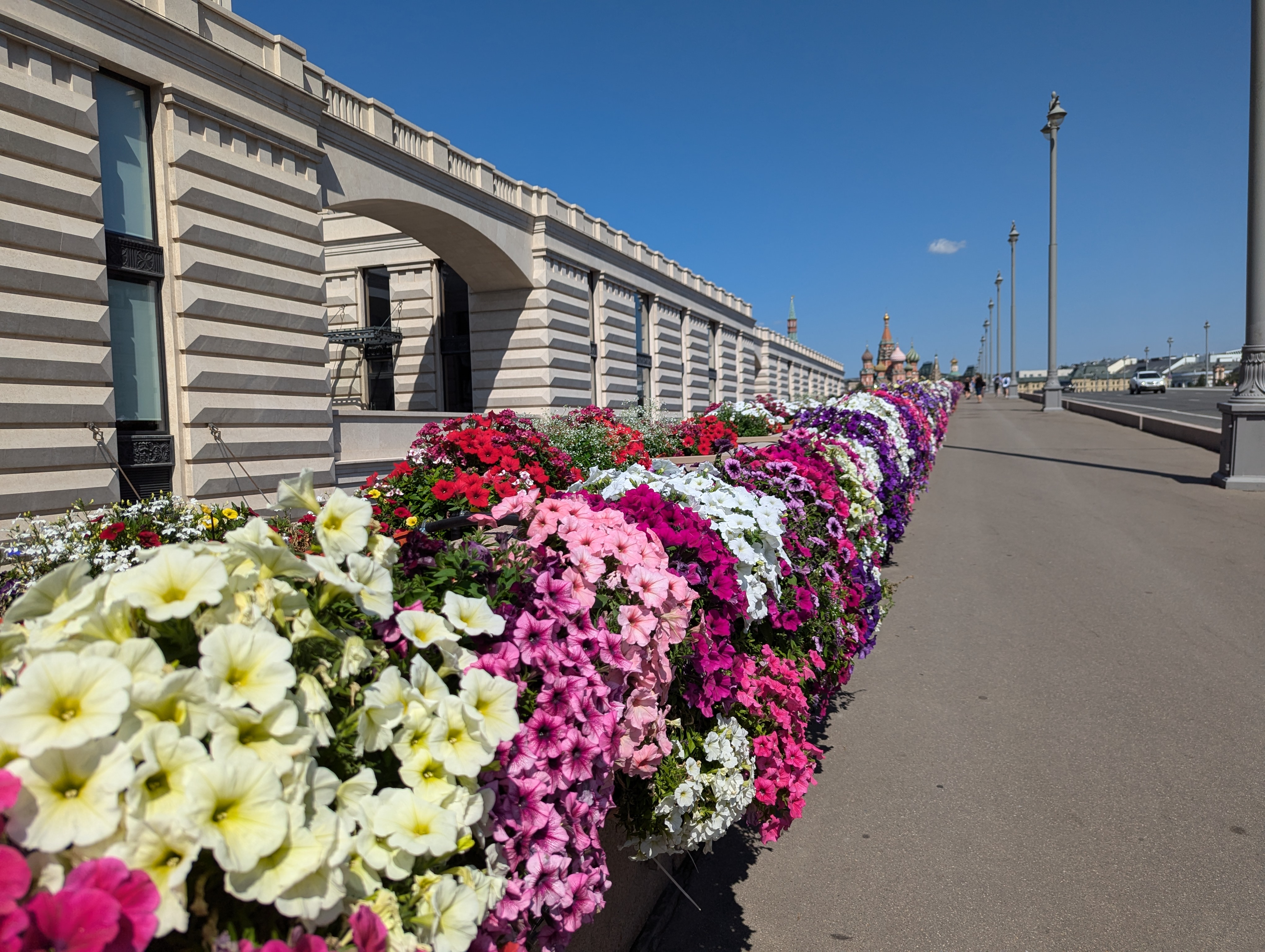 Лето Москва цветы