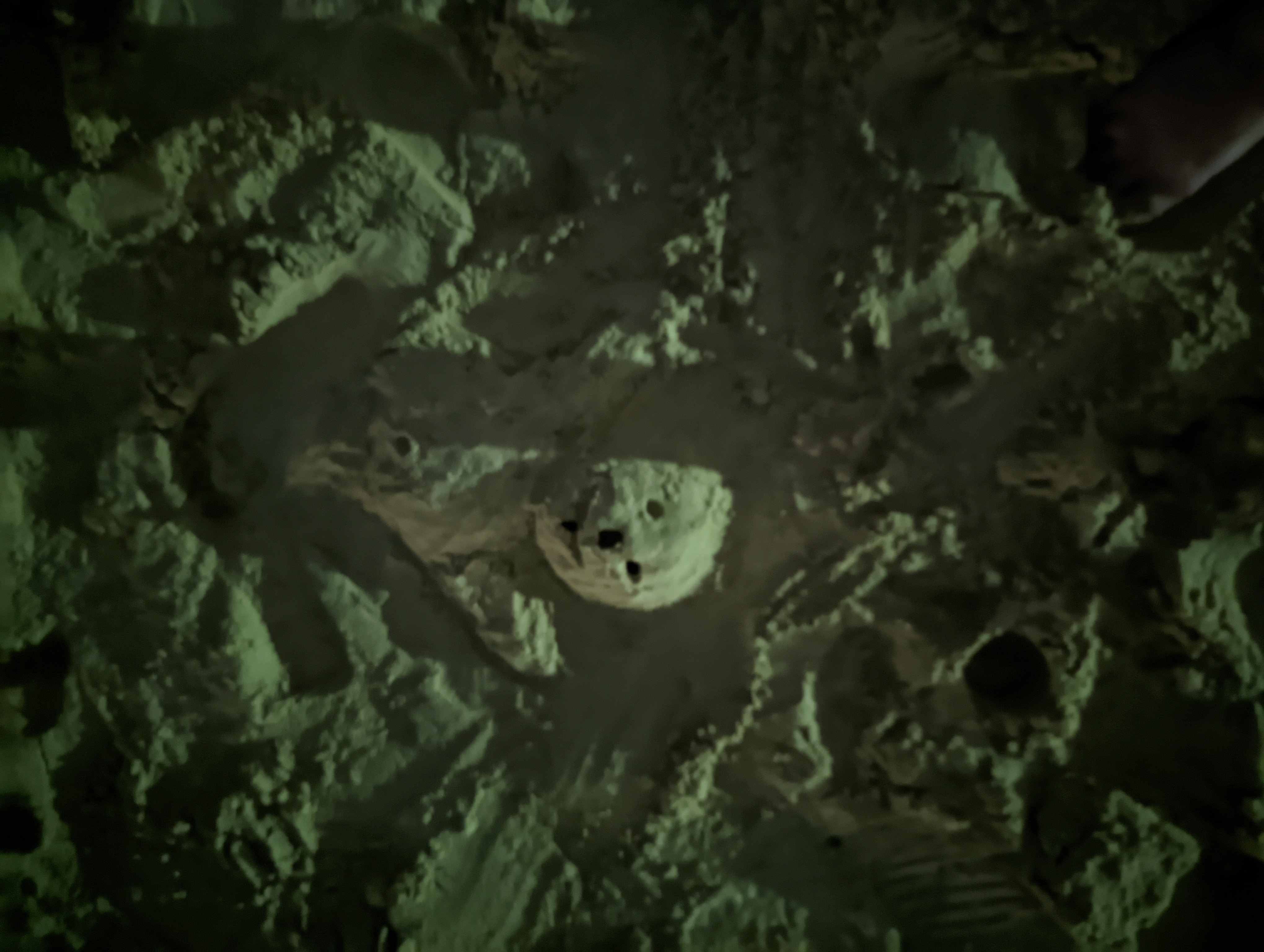 На песке пляжа Ката Нойя и не такое ночью увидишь