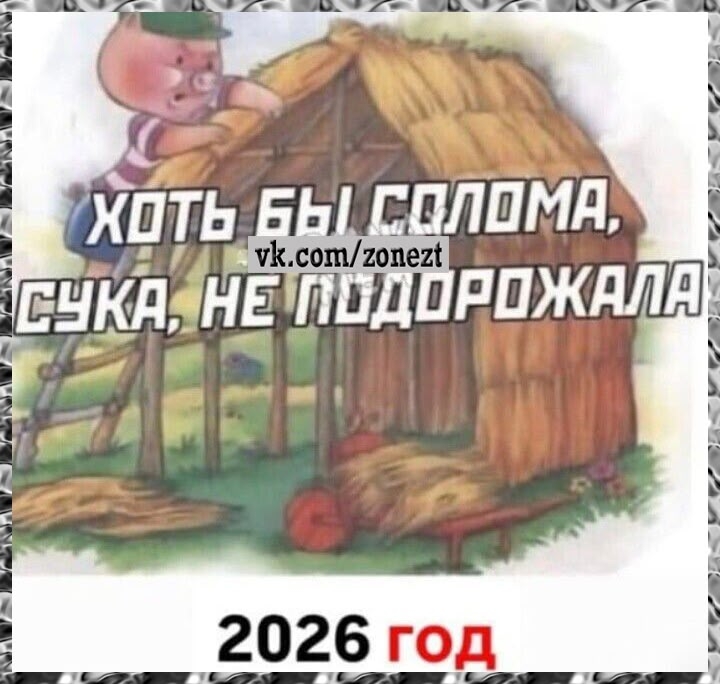 Все дорожает, доходы населения стремительно падают.Налоги повышаются, 
